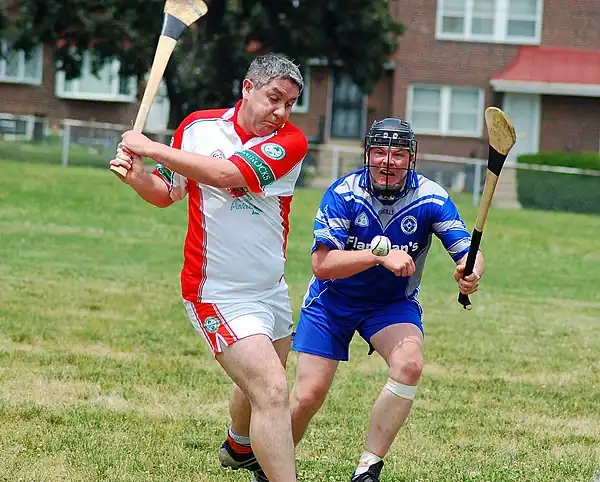 Image 37Hurling