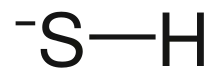 Wireframe structural formula of bisulfide with the explicit hydrogen added