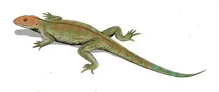 Hylonomus, the earliest sauropsid reptile, appeared in the Pennsylvanian, and is known from the Joggins Formation in Nova Scotia, and possibly New Brunswick.