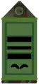 Irish Air Corps rank insignia (green)