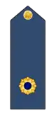 Lieutenant Colonel