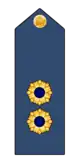 Colonel