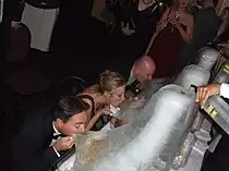 Absolut Vodka being served through ice luges (2006)