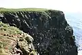 Látrabjarg bird cliff, Iceland.