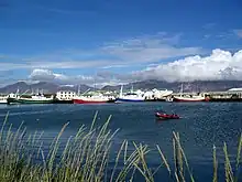 Höfn Harbour