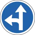 Turn left or straight