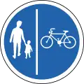 Separate lanes for pedestrians and bikes