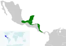 A map of Central America showing the range of the black-cowled oriole as a green strip along the Caribbean coast