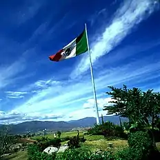 Monumental Flag, Iguala