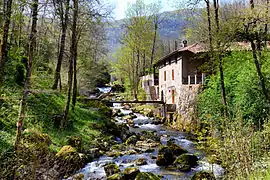 The Douctouyre at Rapy, in Ilhat