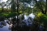 Ilmatsalu river