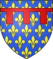 Arms of the Count of Anjou