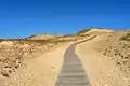 Image 9Sand dunes in the Curonian Spit