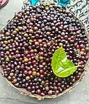 A basket of charoli fruit