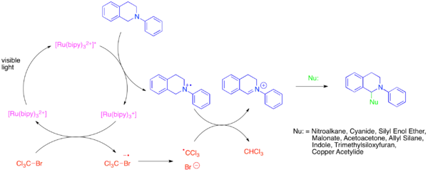 Photocatalytic generation and functionalization of iminium ions