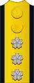 Naval shoulder insignia