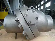 Inconel check valve