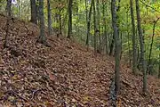 Indian Rock Trail on the slopes of Big Ridge