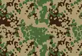 Indian Flecktarn