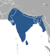 Indian subcontinent