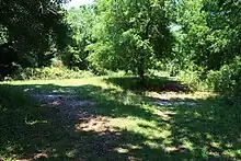 Dauphin Island Mound