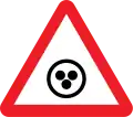 Deaf persons likely on road ahead