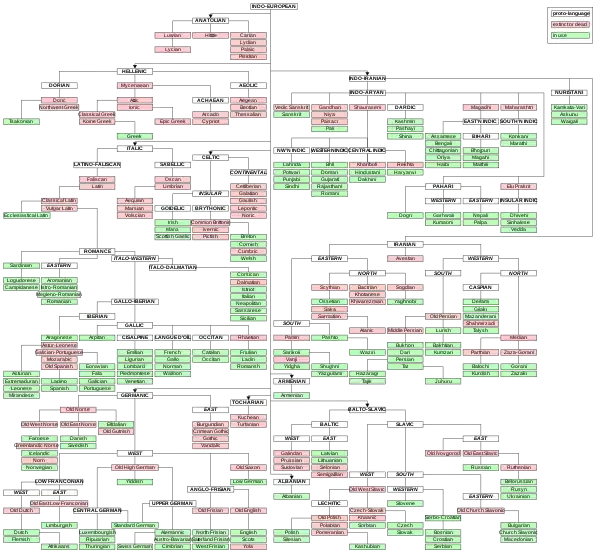 Tree diagram showing genetic relationships among languages