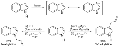 Formation and reactions of the indole anion