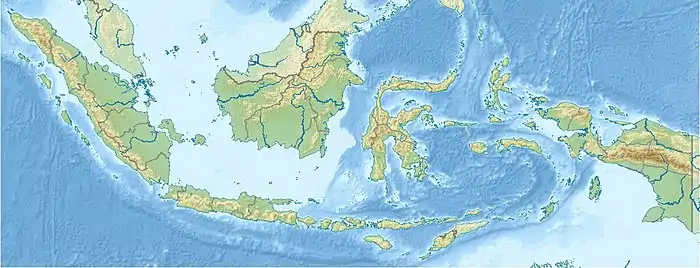 Tripa River is located in Indonesia