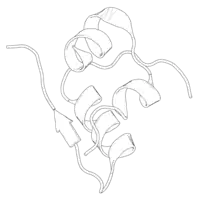 Black-and-white ribbon diagram of a pig insulin monomer.