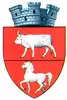 Coat of arms of Săveni