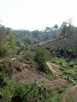 Countryside around the Mae Ping Elephant School, Inthakhin