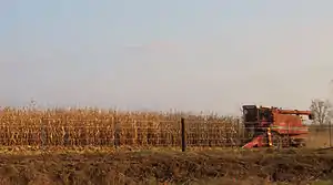 Image 24Harvesting corn in Jones County (from Iowa)