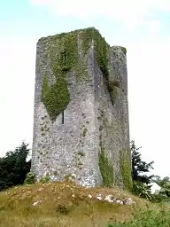 Image 11A tower house near Quin, County Clare. The Normans consolidated their presence in Ireland by building hundreds of castles and towers such as this. (from History of Ireland)