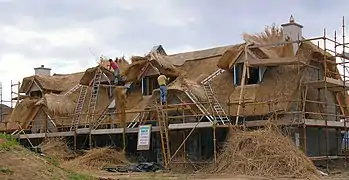 Thatching at Kilmore Quay