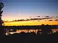 Dobroyd Point, Iron Cove from Francis Street, Lilyfield