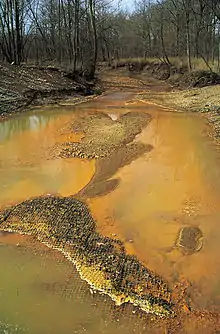 A sacrifice zone where Iron hydroxide precipitate from coal mining has damaged a stream and surrounding area