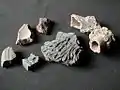 Iron-age furnace pipe & iron-slag castings from Isco