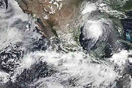 A satellite image of tropical storms Hernan, Iselle, and Hurricane Laura