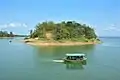 Island in Kaptai Lake