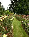 Another view of the garden