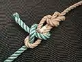 Sheet bend to bowline's loop