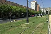 The Alicante Tram, combining high-vegetation with flat-bottomed rails.