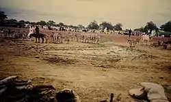 Market in Seberi village, Kollo, Niger.