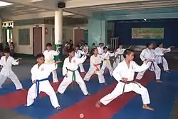 Image 32Karatekas wearing different colored belts (from Karate)