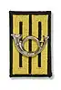 Insignia of the Rifle Guard regiment