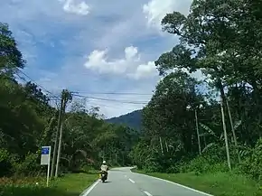 Jalan Tapah-Cameron Highlands 1.jpg