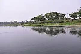 Jalangi River near Mayapur, Nadia 11