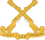 Jammu and Kashmir Light Infantry