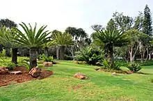 Jan Celliers Park in Groenkloof